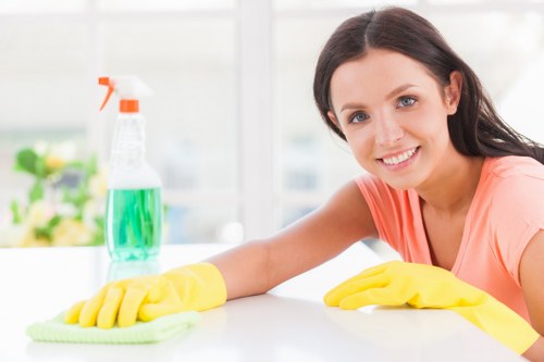 Regular cleaning service for a home in SE17
