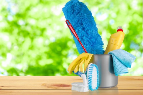 Carpet cleaning team using sustainable equipment in SE17