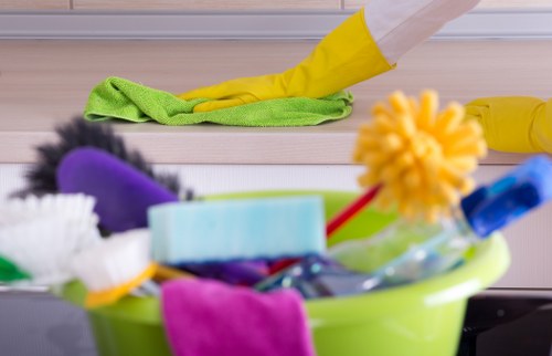 Professional oven cleaning service for SE17 homes and rentals