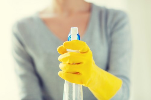 Professional deep cleaning service for SE17 homes and flats