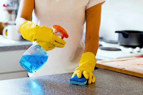 Curtain cleaning for apartments and period homes in SE17