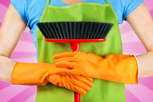 Commitment to responsible and lawful carpet cleaning services