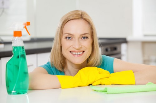 Spot cleaning a rug with professional stain treatment equipment