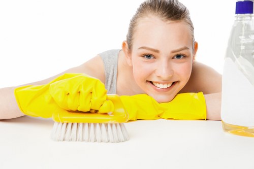 Professional sofa cleaning service for a living room in SE17