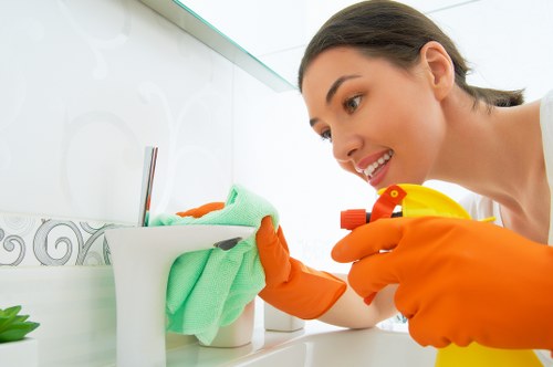 Thorough oven cleaning service for domestic and commercial kitchens in SE17