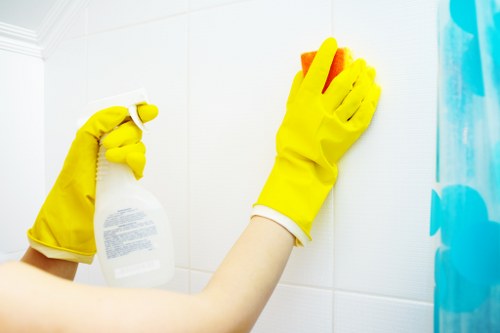 Local gutter cleaning service for SE17 homes and rooflines