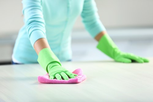 Deep carpet cleaning equipment used in a South London flat