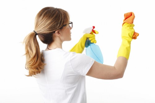 Deep cleaning a rug affected by pet accidents in a South London property