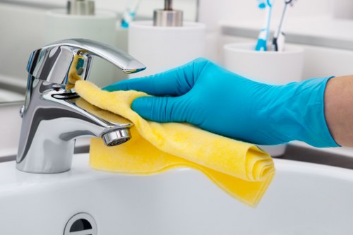 Professional domestic cleaning service for SE17 properties with access considerations