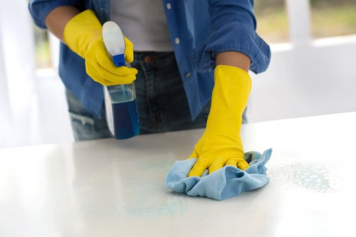 Detailed carpet cleaning process for homes and businesses in SE17