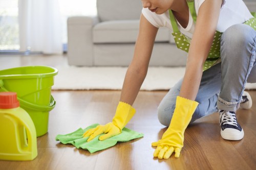 Weekly domestic cleaning in a SE17 flat